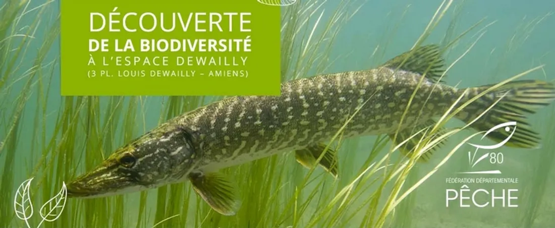 Journée des zones humides 2023