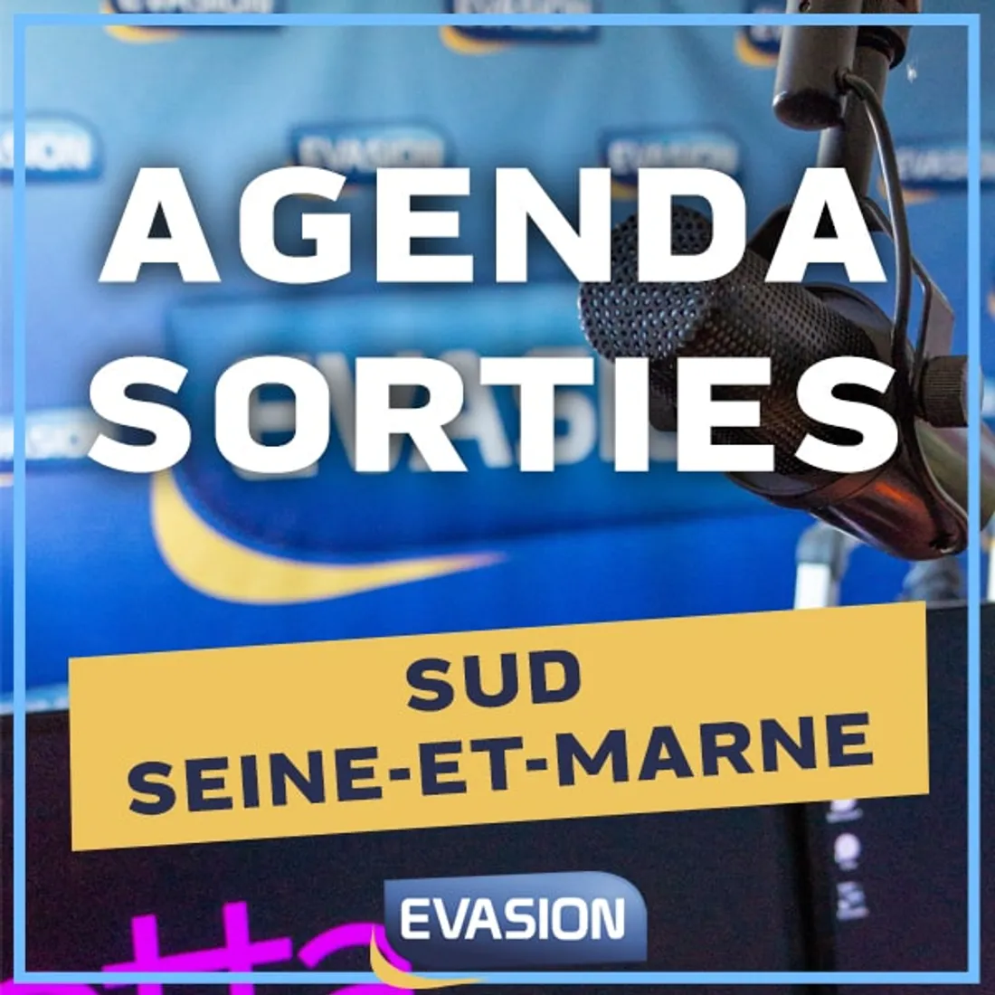 AGENDA SORTIES 77 SUD