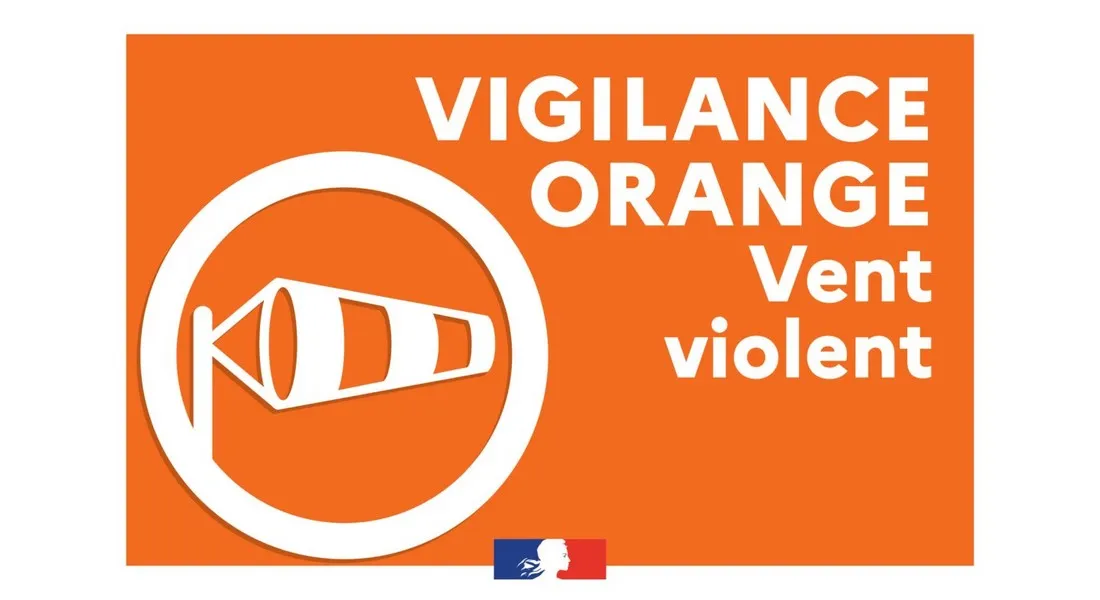Vigilance orange vent violent