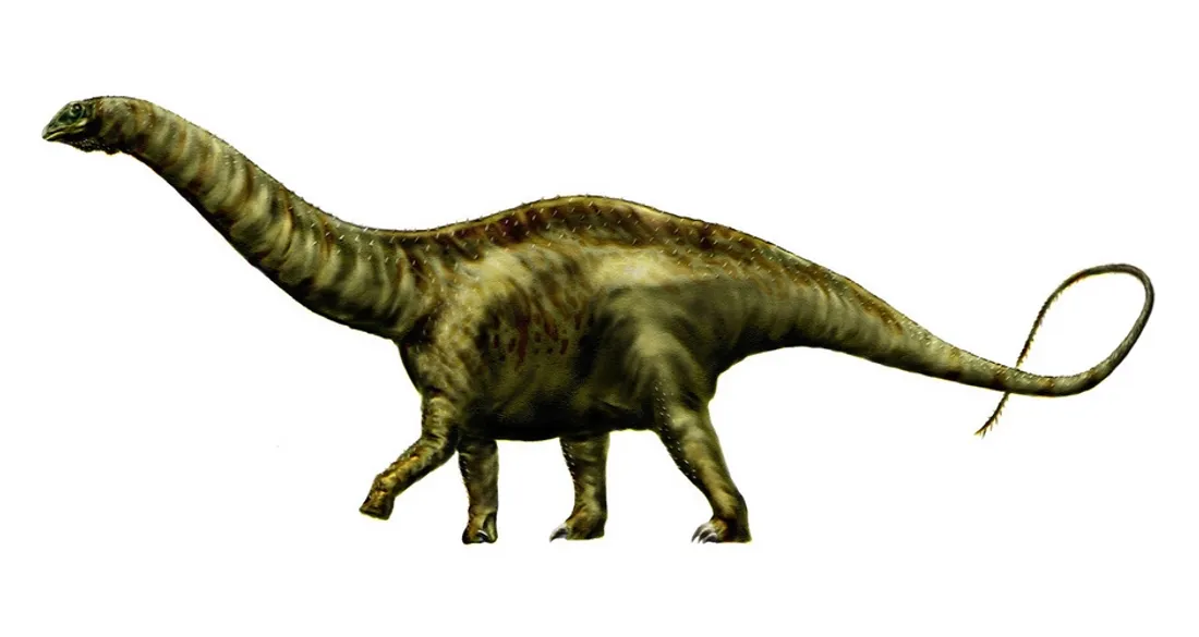 Vue d'artiste d'un apatosaure