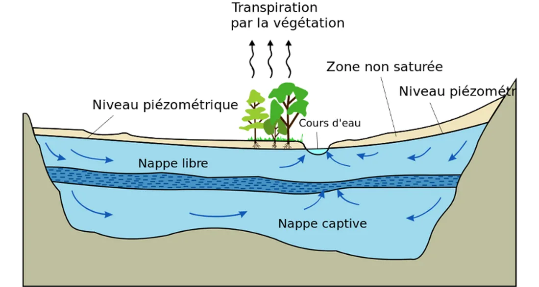 Schéma d'une nappe phréatique