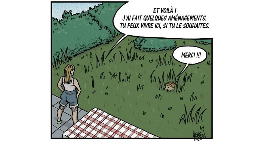 BD sur les super-espèces