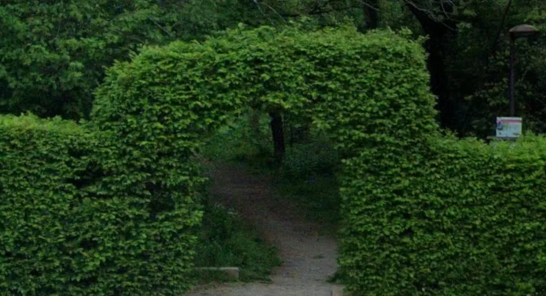 Bois de Vaires-sur-Marne