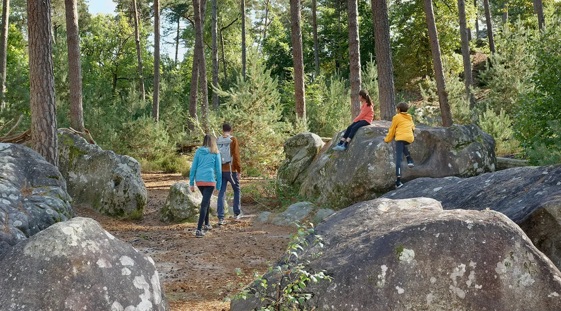 Randonnée en forêt de Fontainebleau