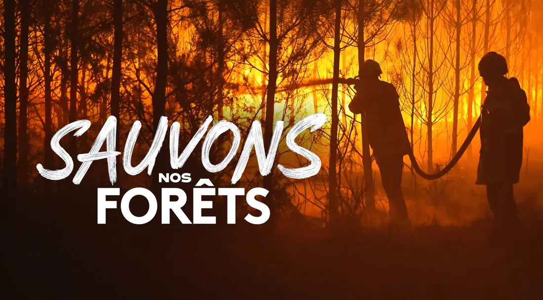 Emission "Sauvons nos forêts"