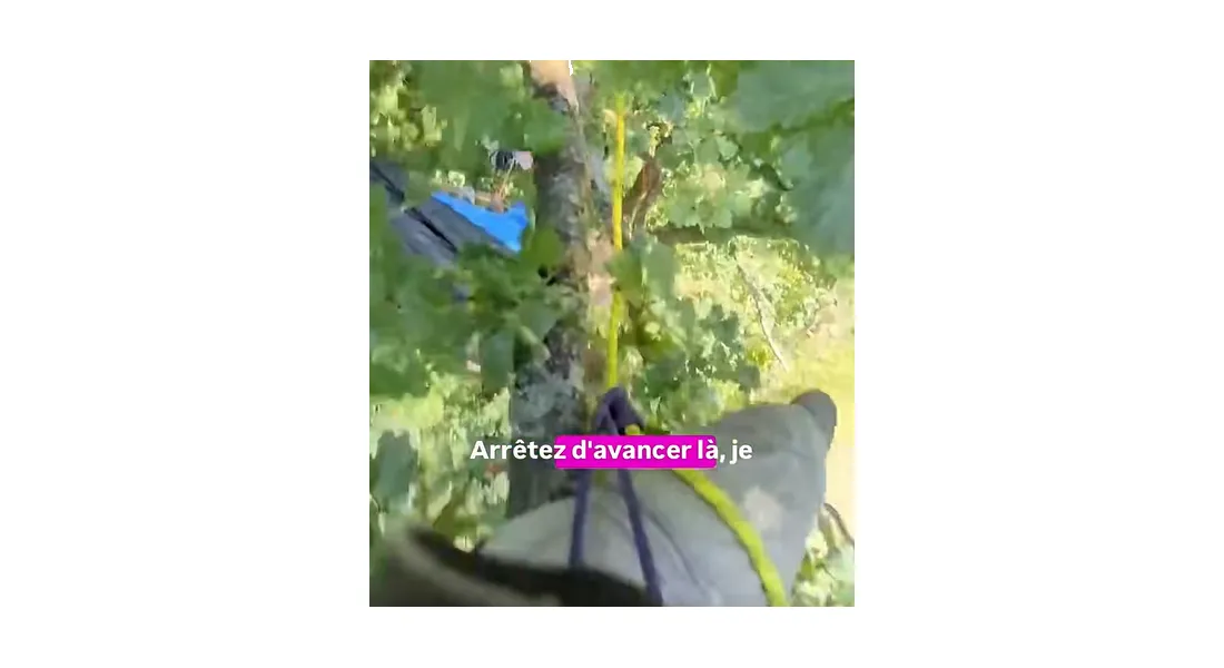 "écureuils" à Ytres