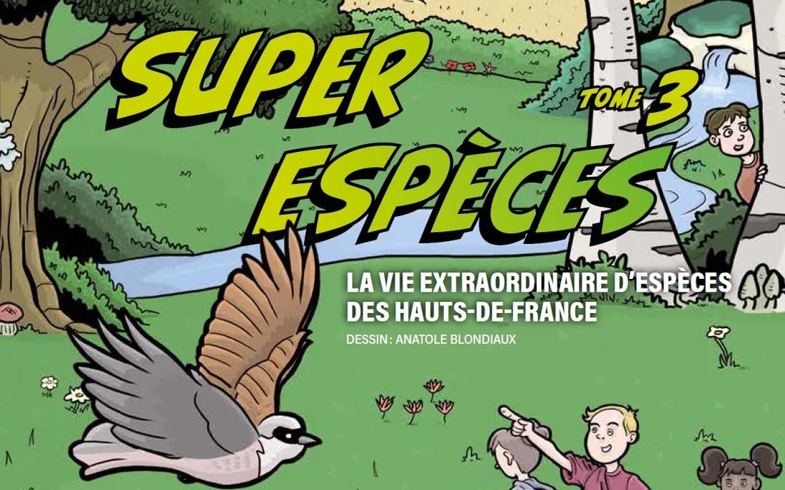 Super-espèces dans les Hauts-de-France