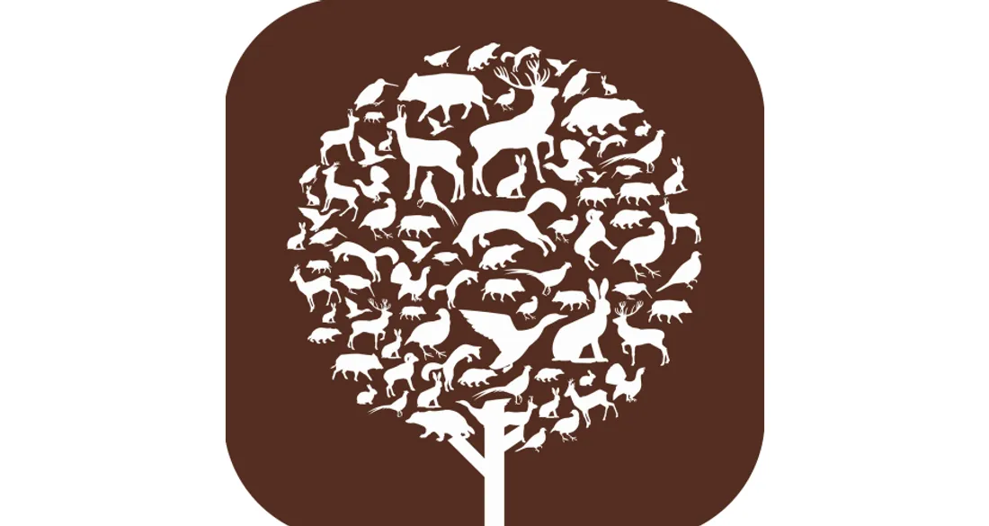 Application ChassAdapt