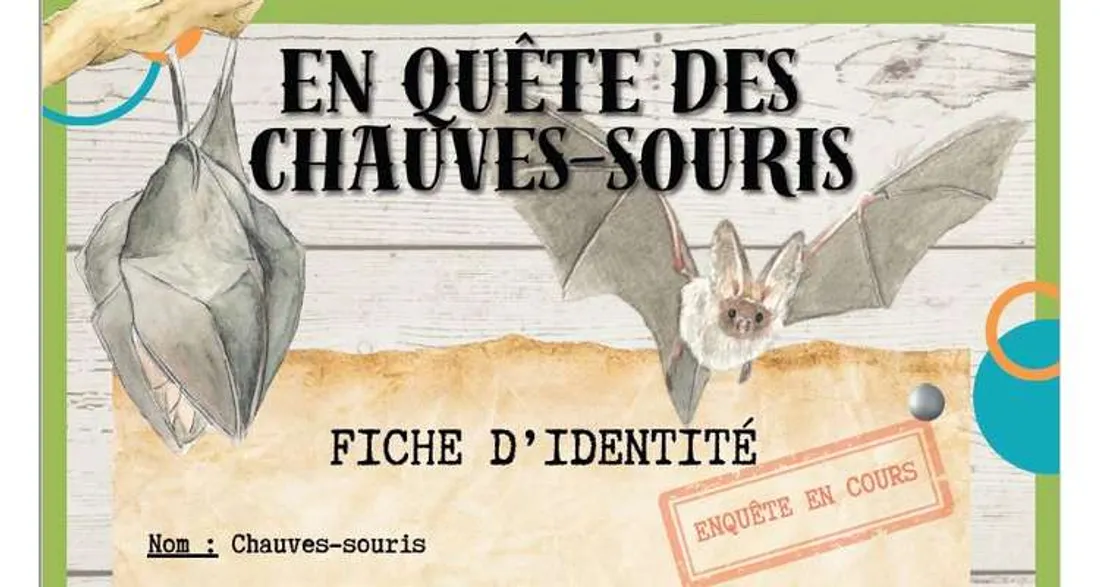 Recensement des chauves-souris en Île-de-France