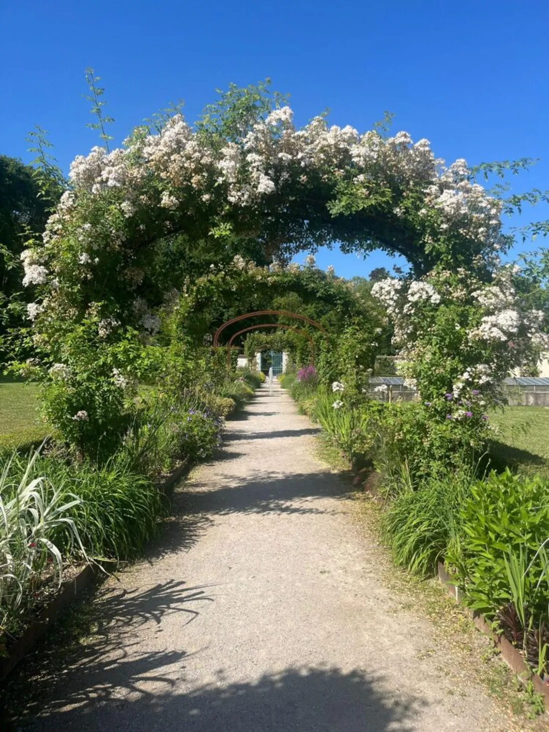 Coupvray récompensée par le concours Villes et Villages Fleuris