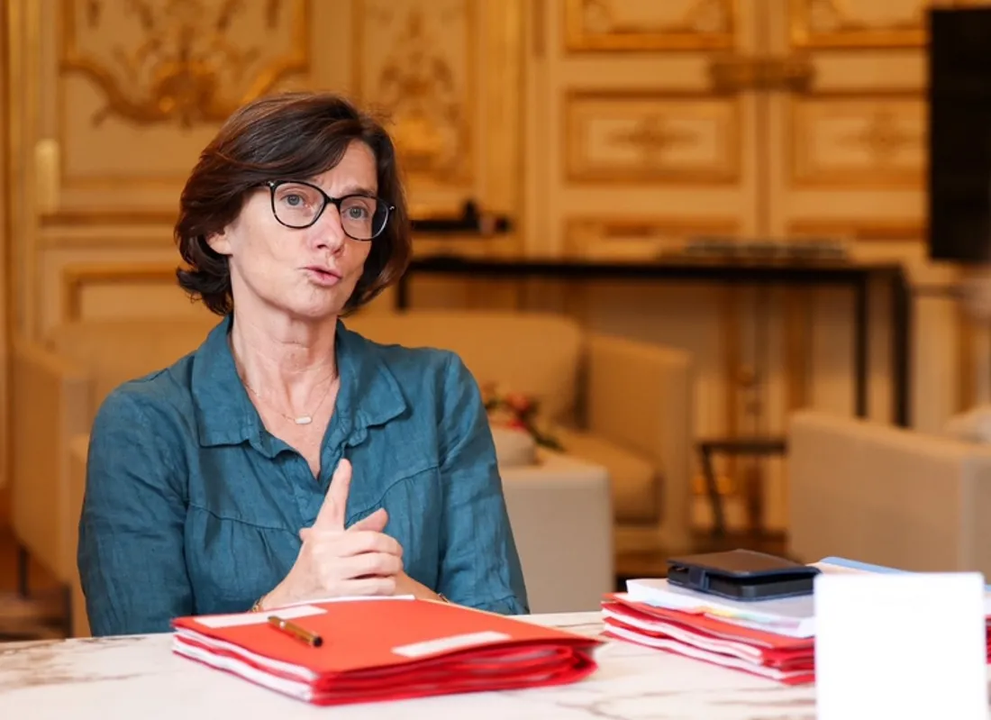 Agnès Firmin Le Bodo