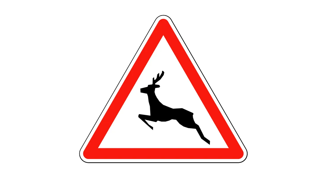 Panneau animaux sauvages