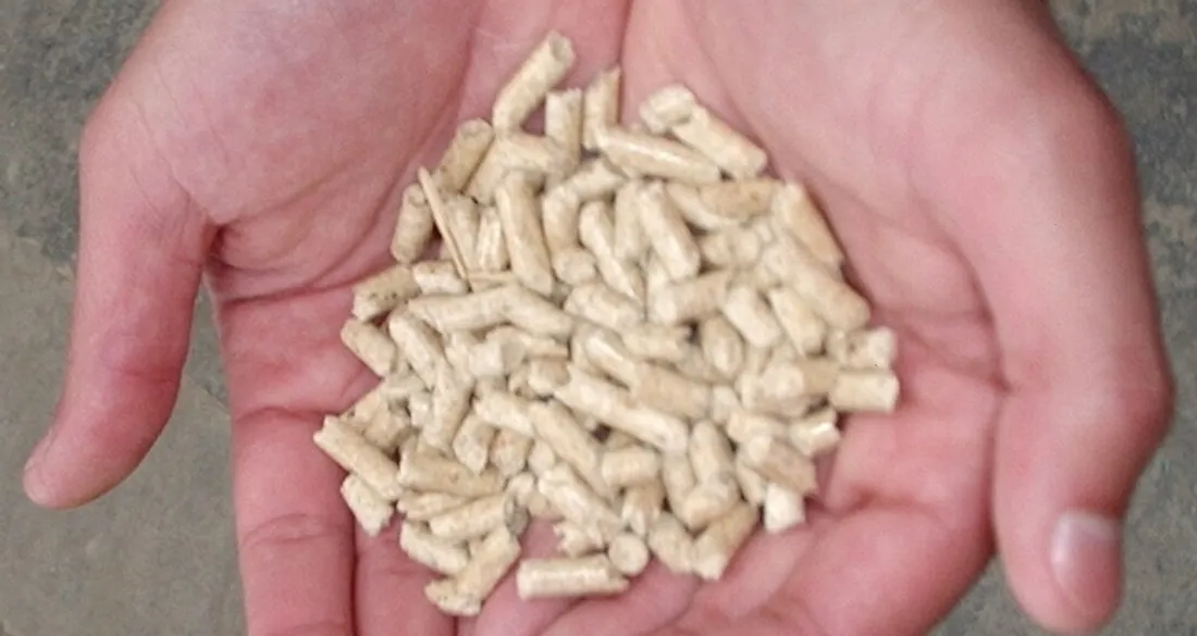 Pellets