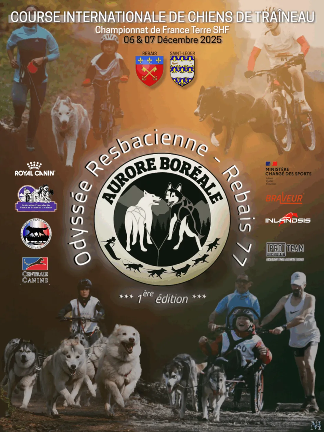 Une course internationale de chiens de traineaux à Rebais