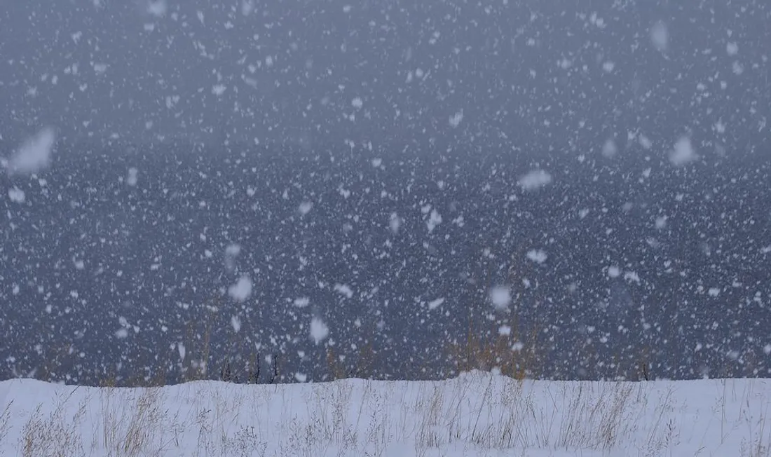 Neige qui tombe 