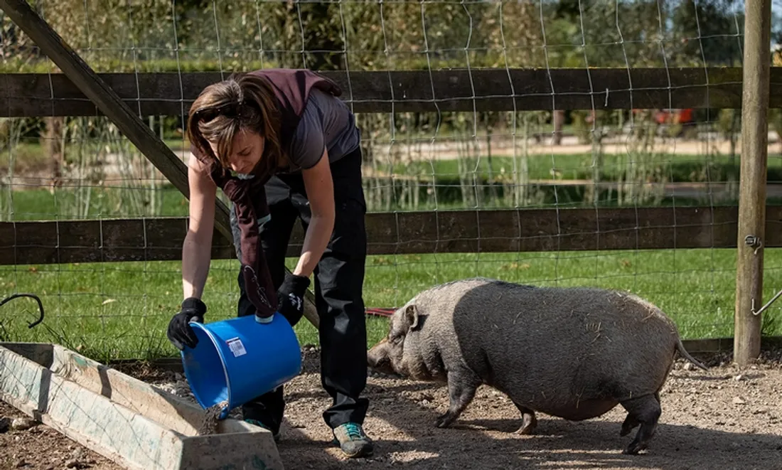 Soigneur animalier d'un jour
