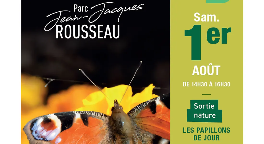 Papillons de jour