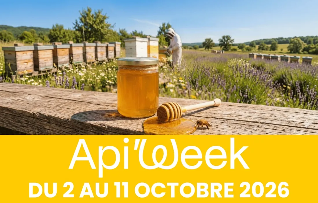 Api'Week 2026