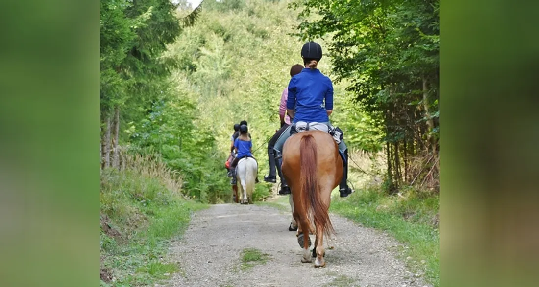 Équitation dans la nature