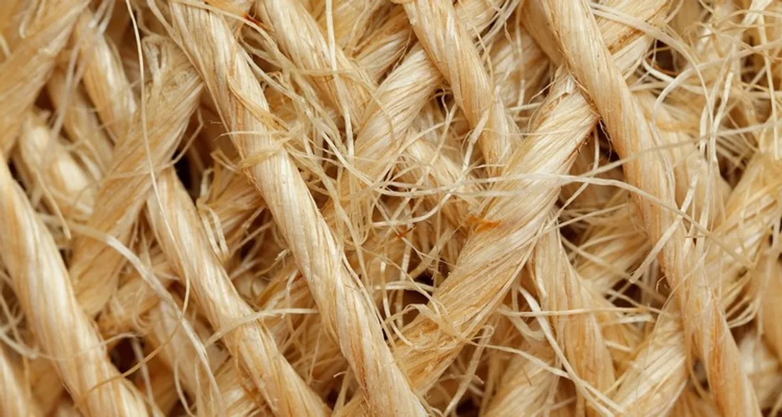 Fibres végétales
