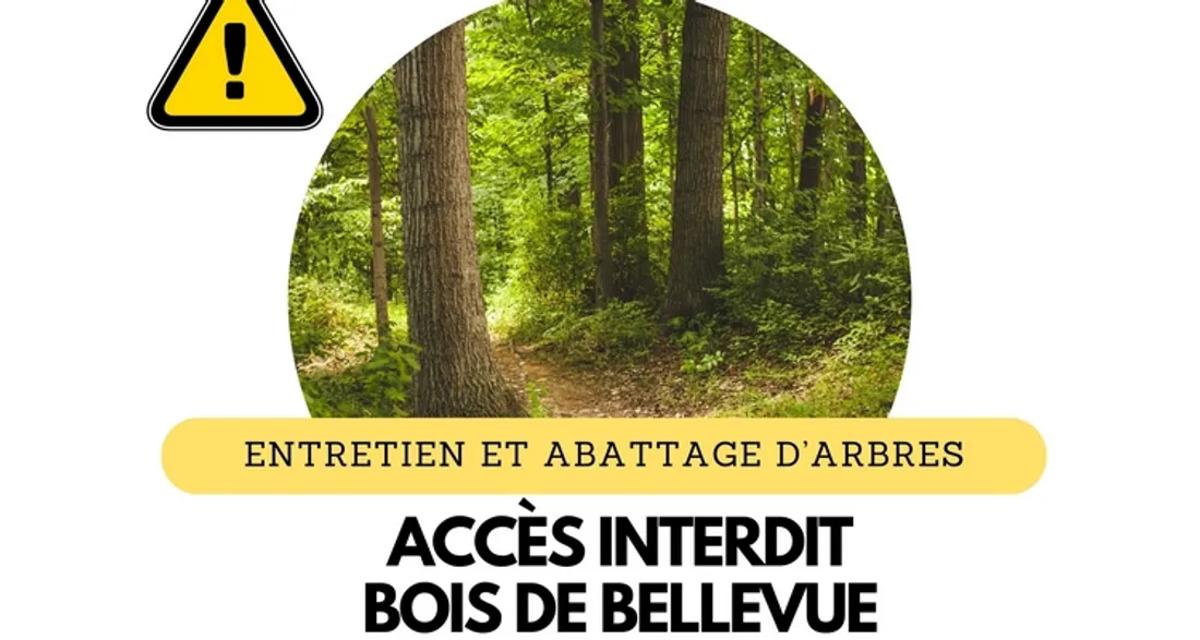 Interdiction de se promener