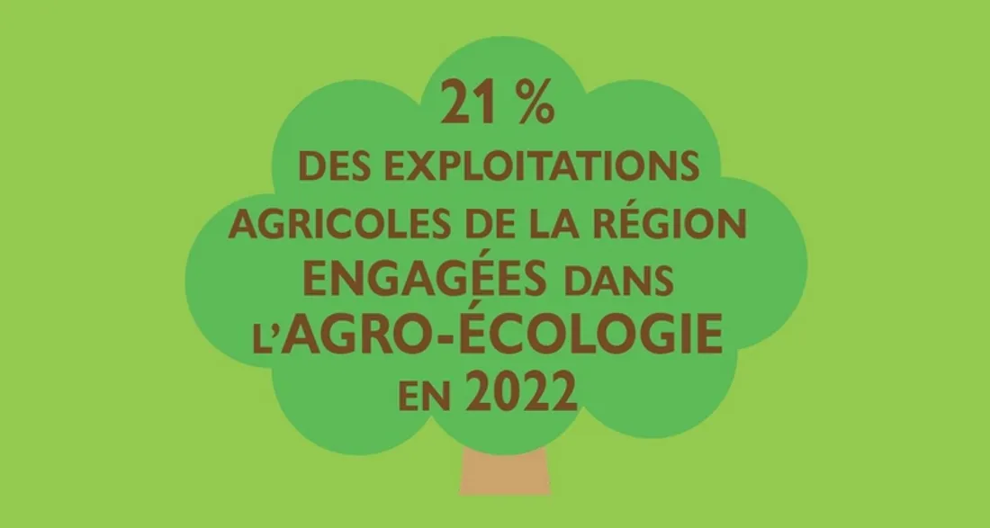 Agro-écologie dans les Hauts-de-France
