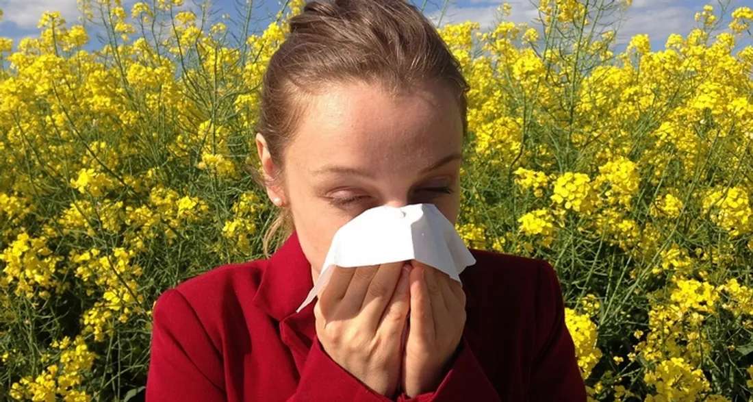 Allergie au pollens