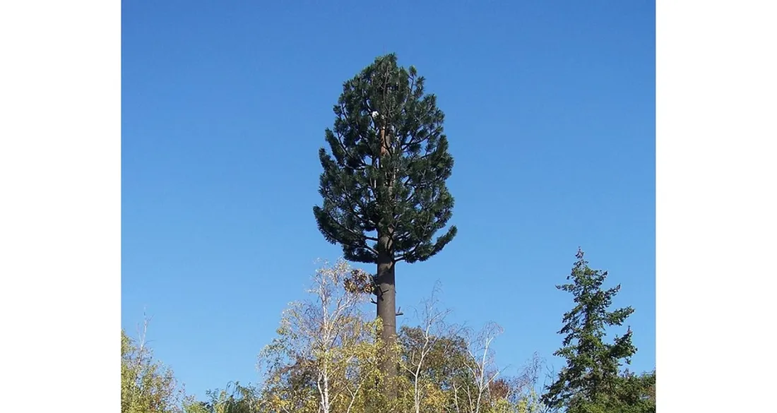 Antenne-relais camouflée / Illustration