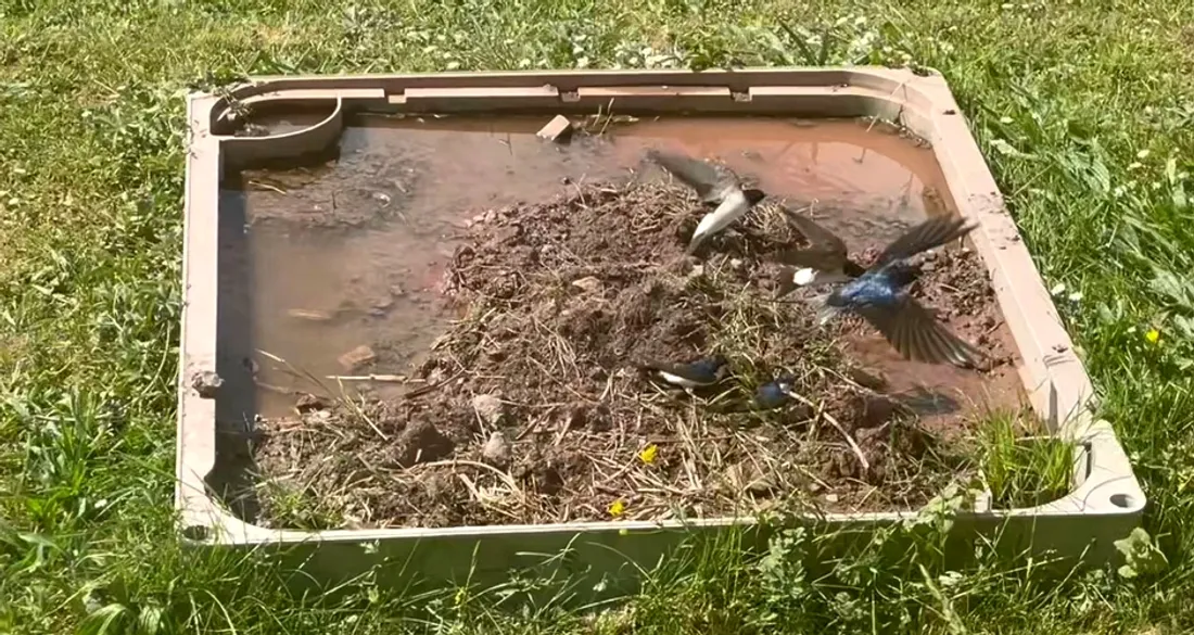 Bac à boue dans les Hauts-de-France