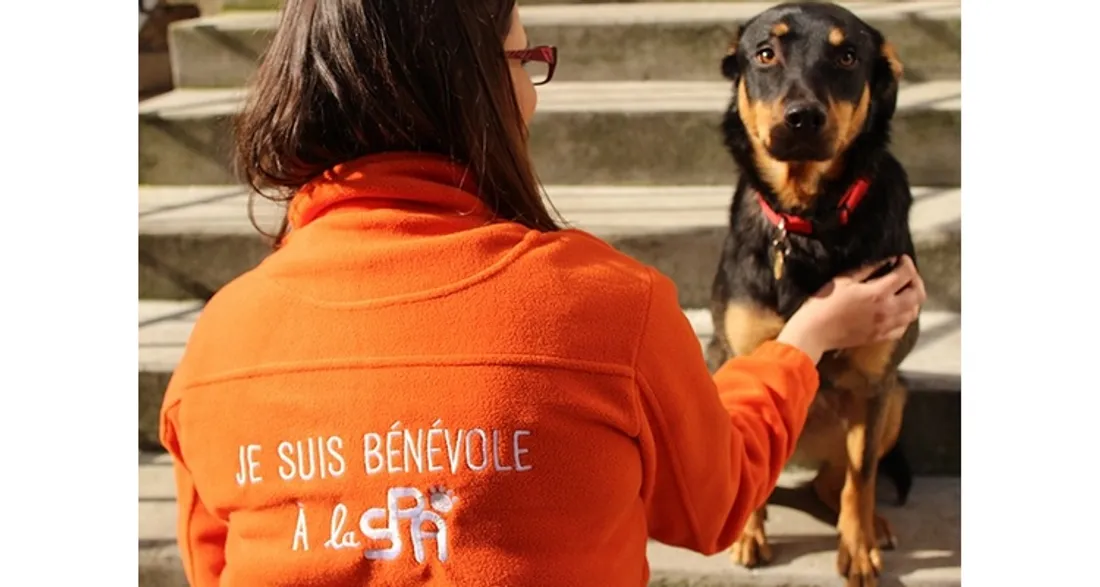 Bénévole à la SPA