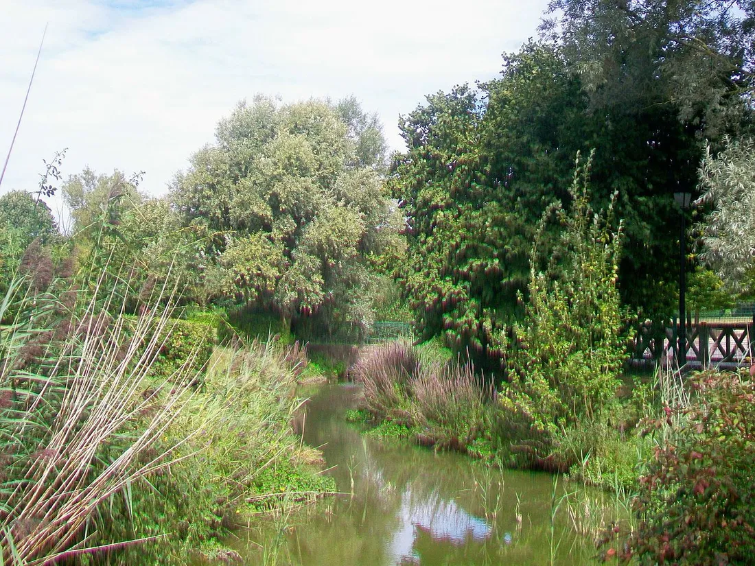 Rivière Biberonne à Moussy-le-Neuf