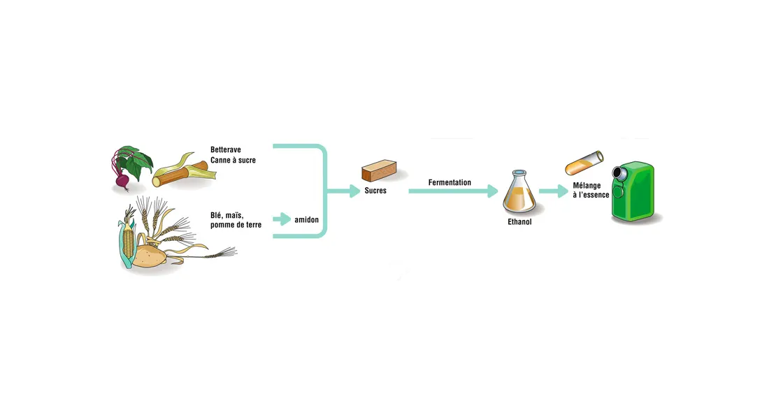 Élaboration de biocarburant