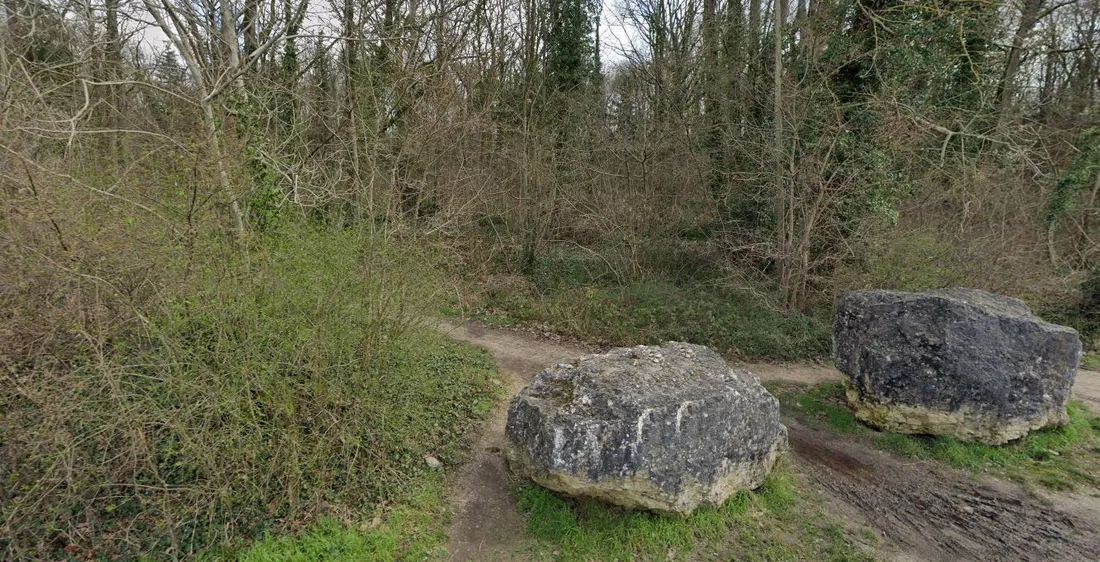 Bois de Bréviande
