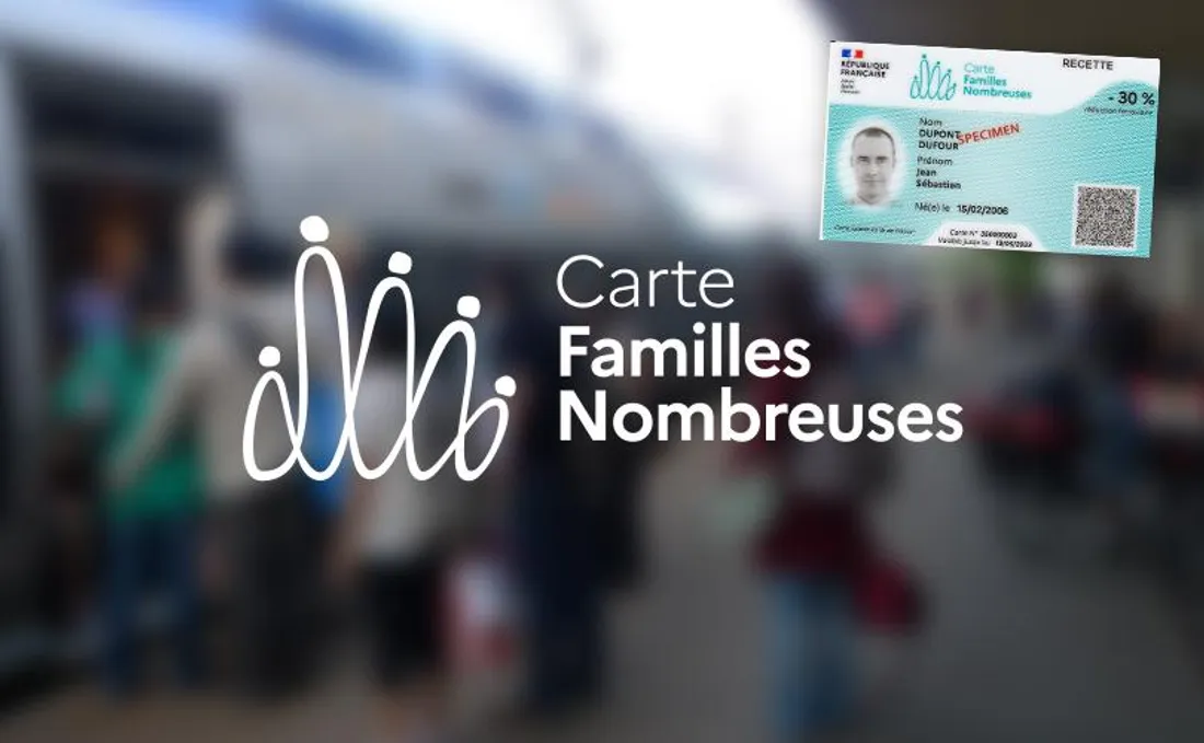 Carte familles nombreuses