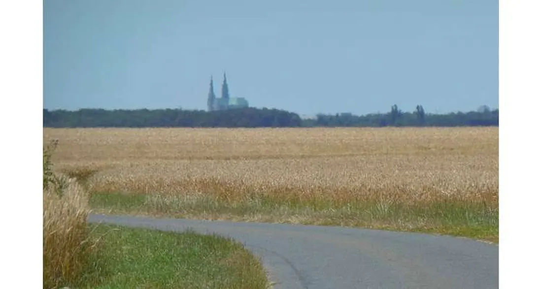 Cathédrale de Chartres