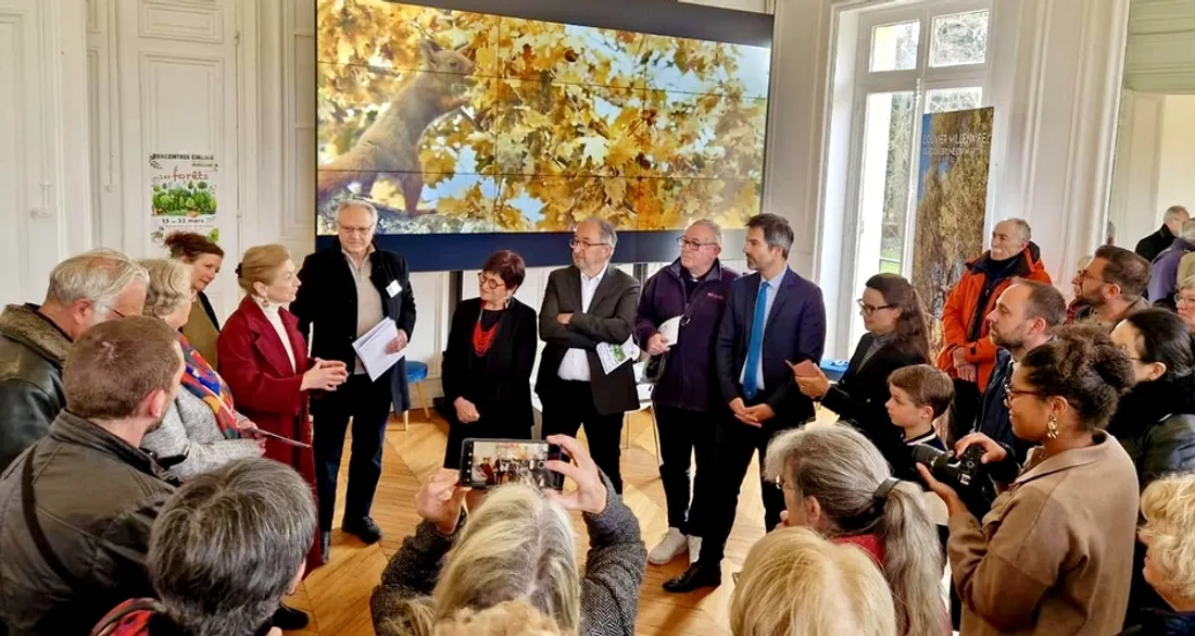 Chartres de l'arbre à Brunoy