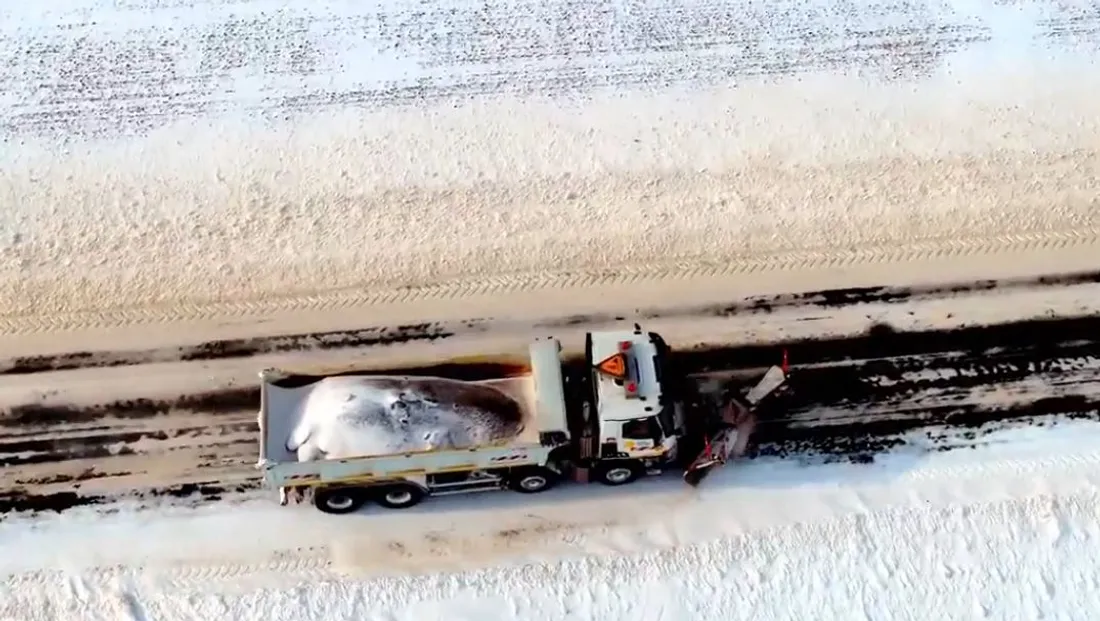 Chasse-neige en action