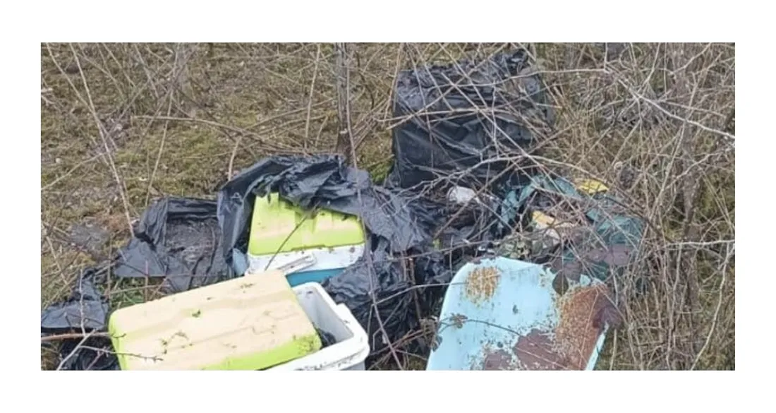 Les glacières et seaux contenaient des animaux morts