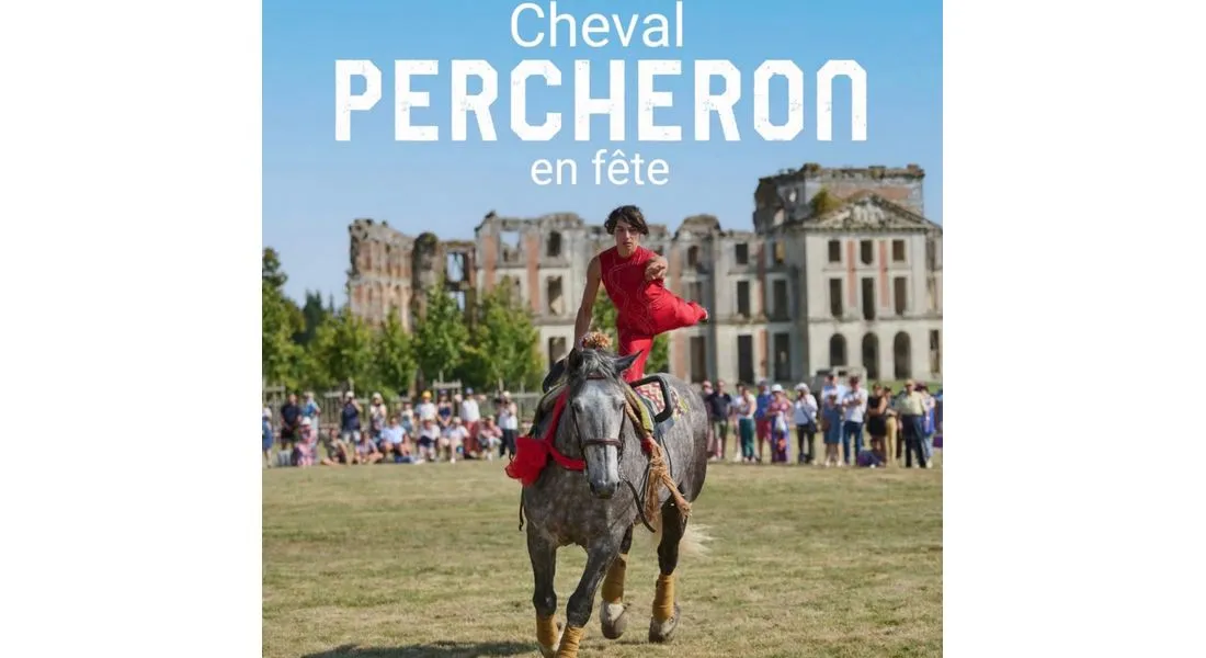 Cheval percheron