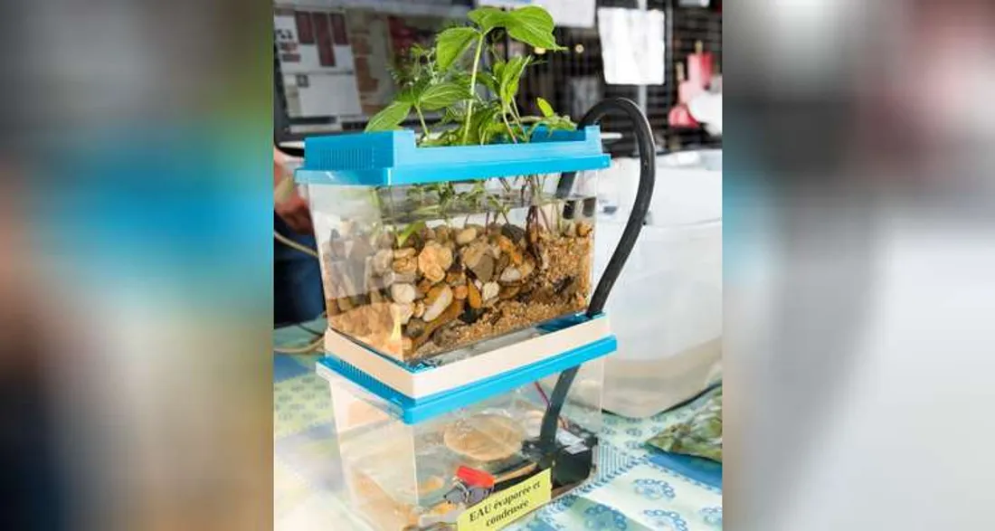 Projet de 2019 "L'océan, un nouvel espace de production alimentaire ?"