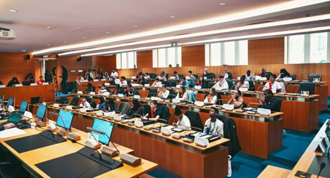 Conseil départemental des jeunes de Seine-et-Marne