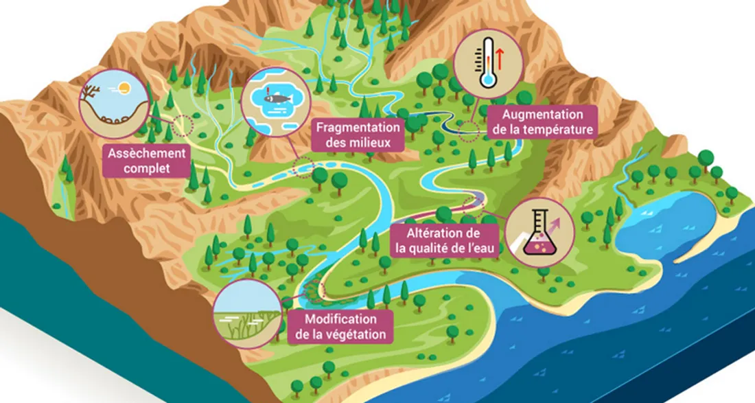 Conséquences de la sécheresse sur les cours d'eau