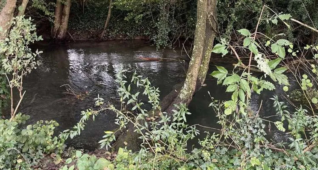 Cours d'eau à Bussy-lès-Daours