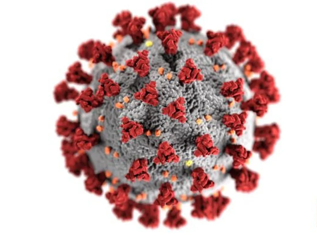 Coronavirus