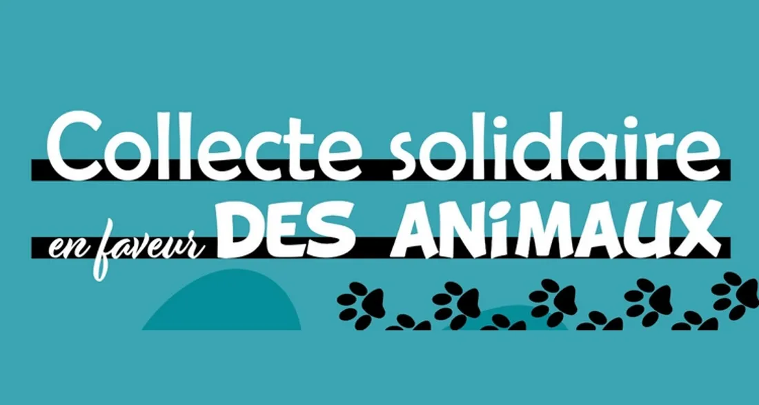 Collecte en faveur des animaux