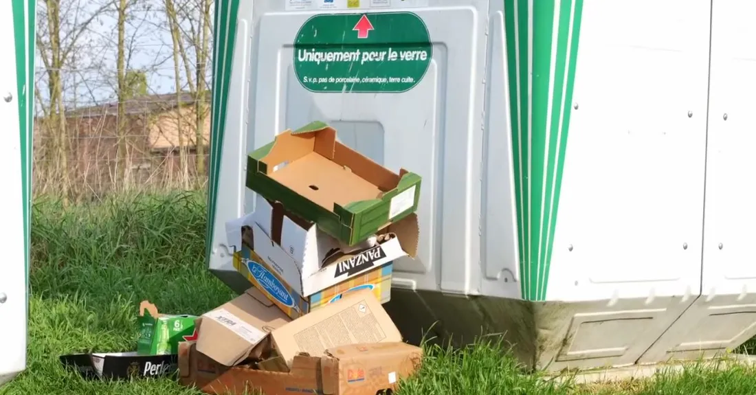 Déchets sauvages