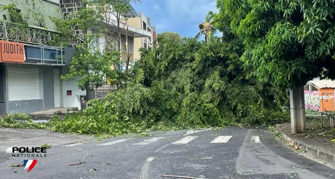 Dégâts causés par le cyclone Belal à la Réunion