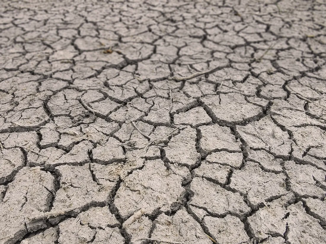 Sol marqué par la sécheresse