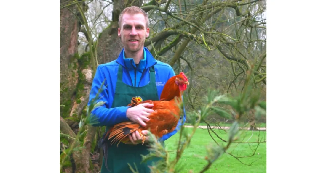 Elevage avicole Saint-Georges