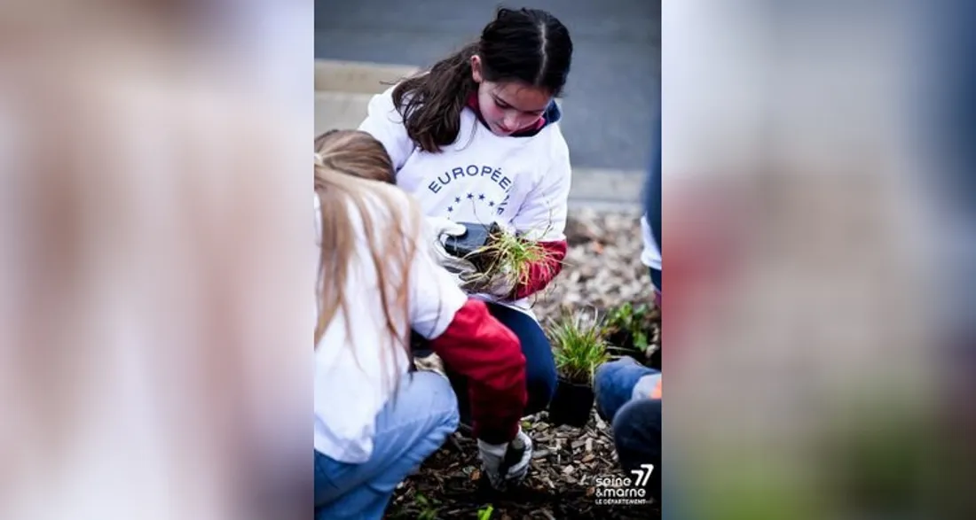 Action "élève ton arbre"